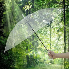 Clear Dome Umbrella